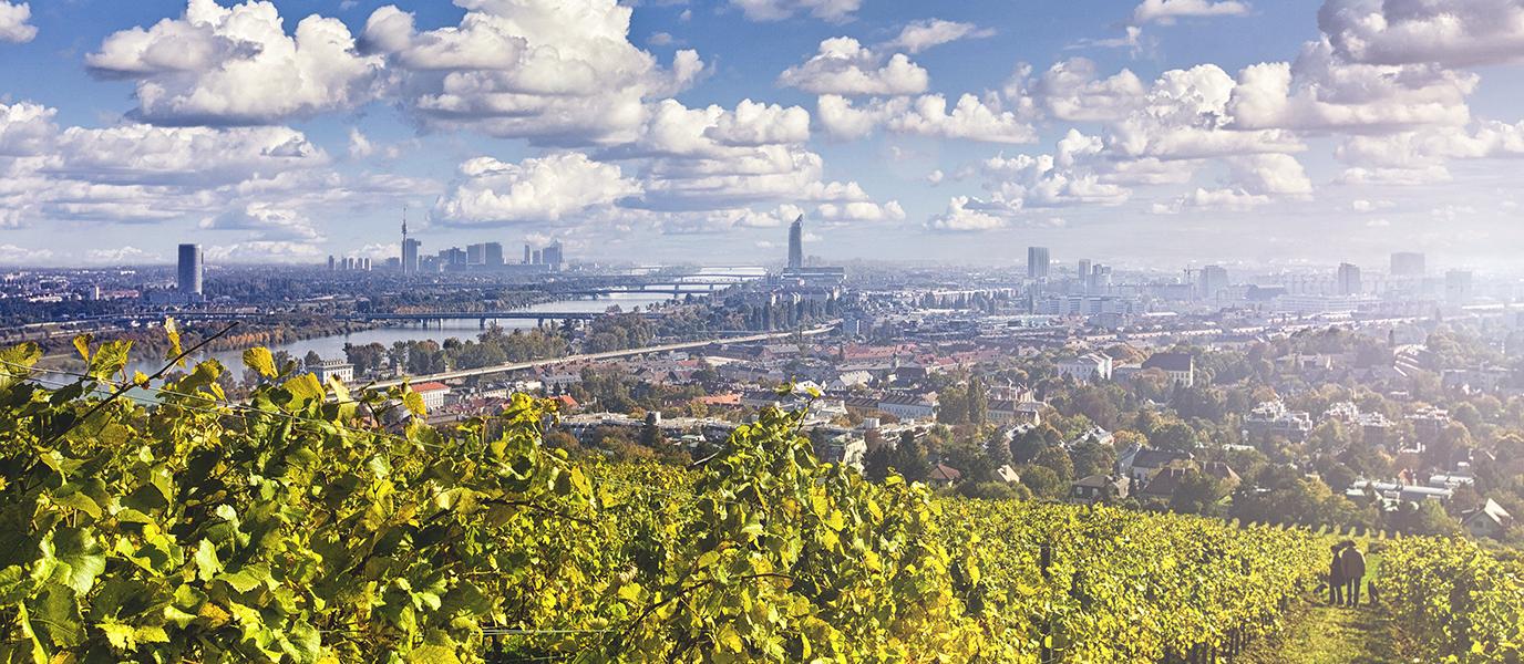 Blick vom Nußberg