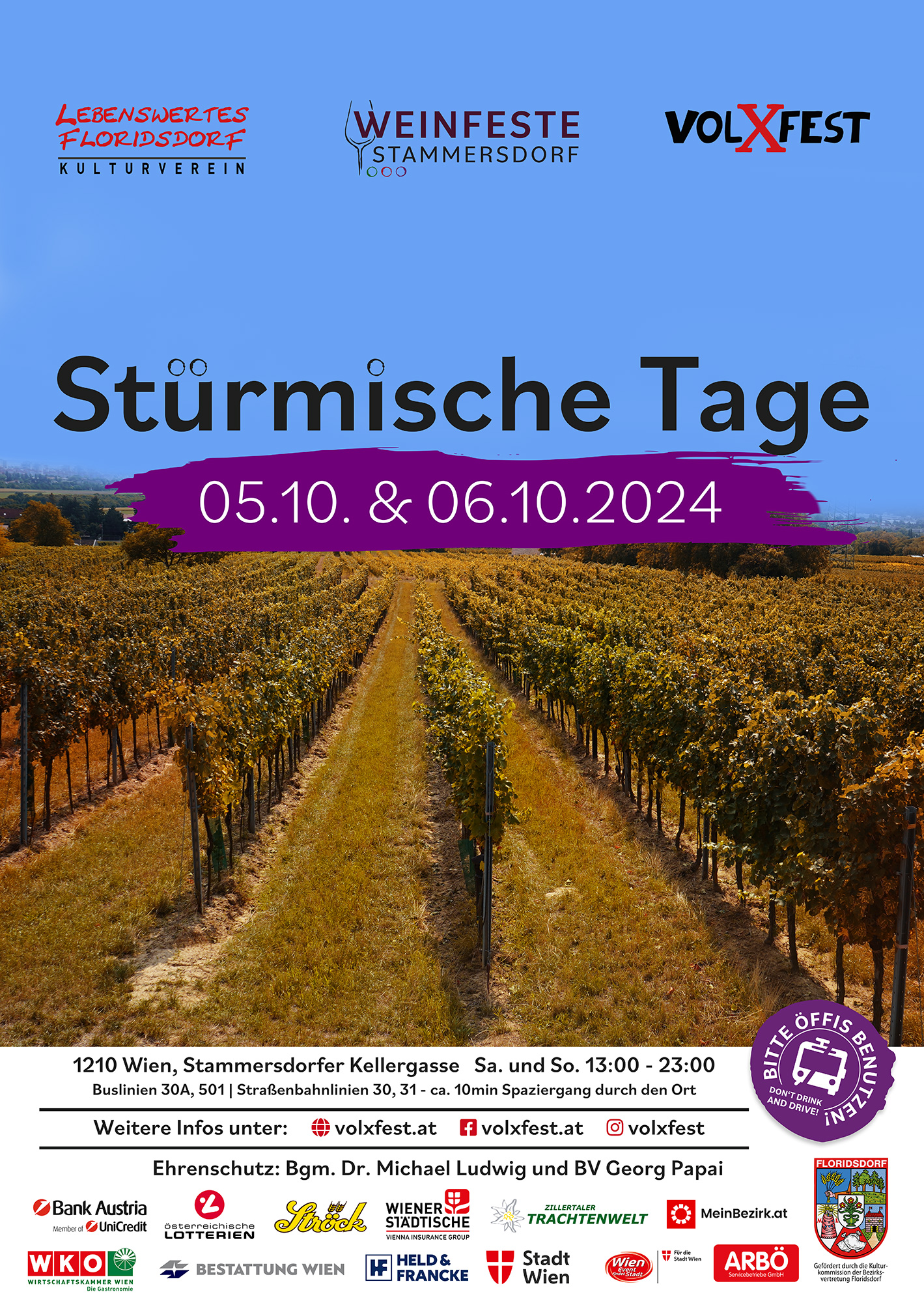 Flyer Stürmische Tage