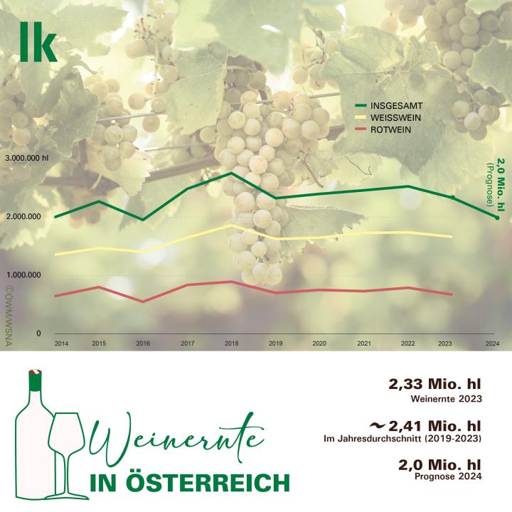 Weinernte in Österreich